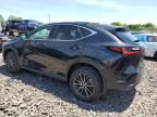 2024 Lexus NX 350 Base