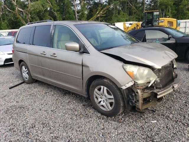 2005 Honda Odyssey EXL