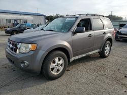 2009 Ford Escape XLT en venta en Pennsburg, PA