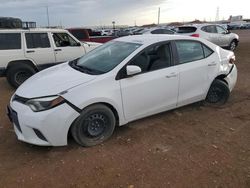 Salvage cars for sale at Phoenix, AZ auction: 2014 Toyota Corolla L