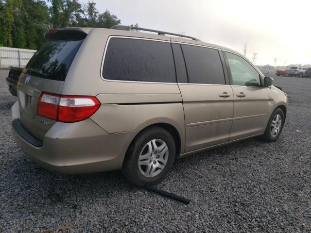 2005 Honda Odyssey EXL