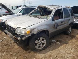 Salvage cars for sale at Elgin, IL auction: 2006 Ford Escape XLT