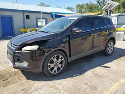 Salvage cars for sale at Wichita, KS auction: 2013 Ford Escape SEL