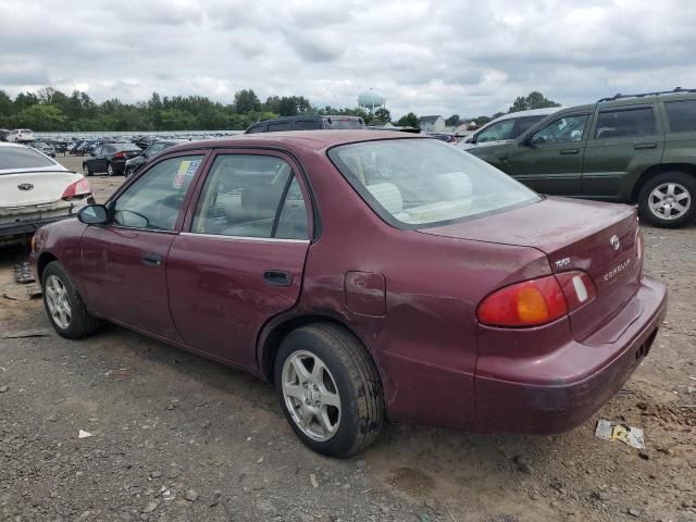 1998 Toyota Corolla VE