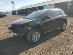 Salvage cars for sale at Phoenix, AZ auction: 2012 Nissan Murano S