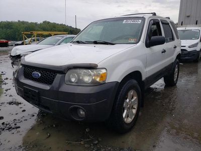Vehiculos salvage en venta de Copart Windsor, NJ: 2006 Ford Escape XLT