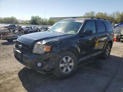 Ford Escape salvage cars for sale: 2008 Ford Escape Limited