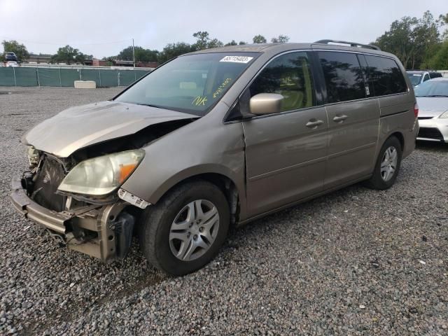 2005 Honda Odyssey EXL