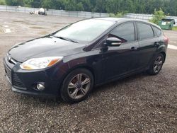 Salvage cars for sale from Copart London, ON: 2014 Ford Focus SE