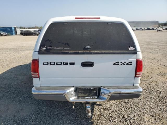 2000 Dodge Dakota Quattro