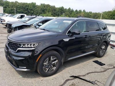 Salvage Cars for Sale in Rhode Island: Wrecked & Rerepairable Vehicle  Auction