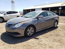 Salvage cars for sale at Phoenix, AZ auction: 2014 Hyundai Sonata GLS