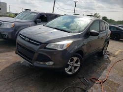 Salvage cars for sale at Chicago Heights, IL auction: 2015 Ford Escape SE