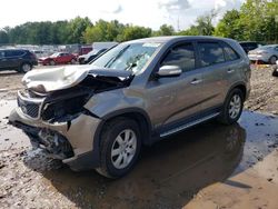 Salvage cars for sale at Pennsburg, PA auction: 2013 KIA Sorento LX