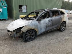 Salvage cars for sale from Copart Graham, WA: 2019 KIA Sorento SX