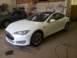 Vehiculos salvage en venta de Copart Ham Lake, MN: 2014 Tesla Model S