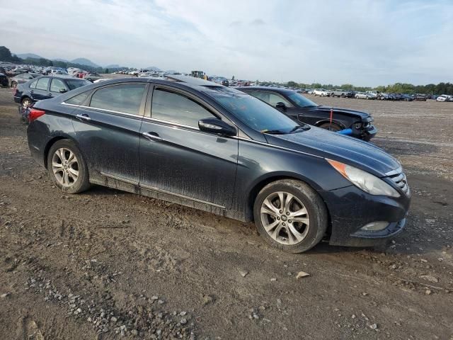 2011 Hyundai Sonata SE