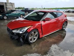 Salvage cars for sale at West Palm Beach, FL auction: 2013 Hyundai Veloster Turbo