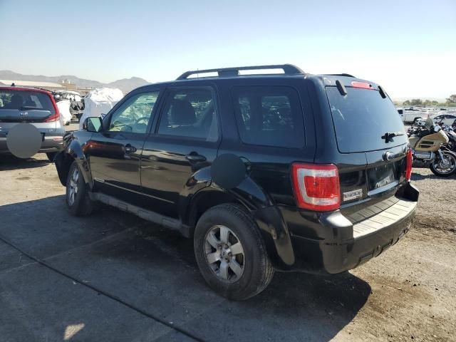 2008 Ford Escape Limited