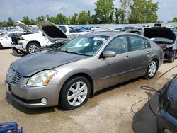 Nissan Maxima salvage cars for sale: 2005 Nissan Maxima SE