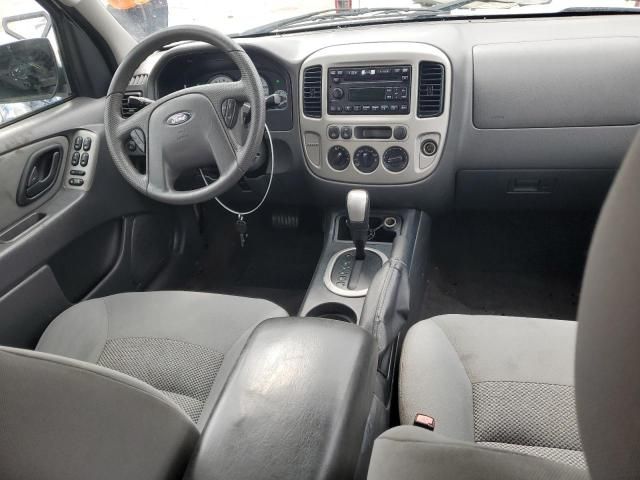 2006 Ford Escape XLT