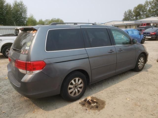 2010 Honda Odyssey EXL