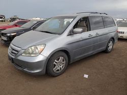 Salvage cars for sale from Copart Brighton, CO: 2006 Honda Odyssey EX