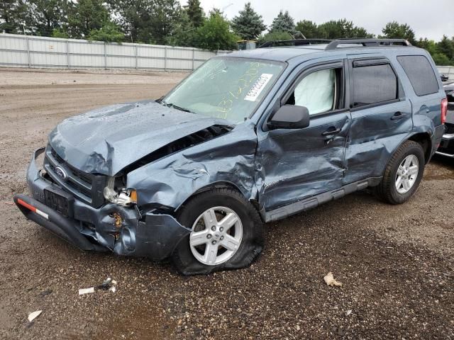 2010 Ford Escape Hybrid