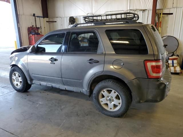 2009 Ford Escape XLT