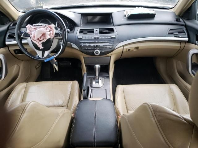 2009 Honda Accord EXL