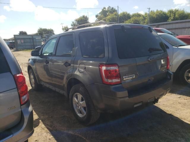 2010 Ford Escape XLT