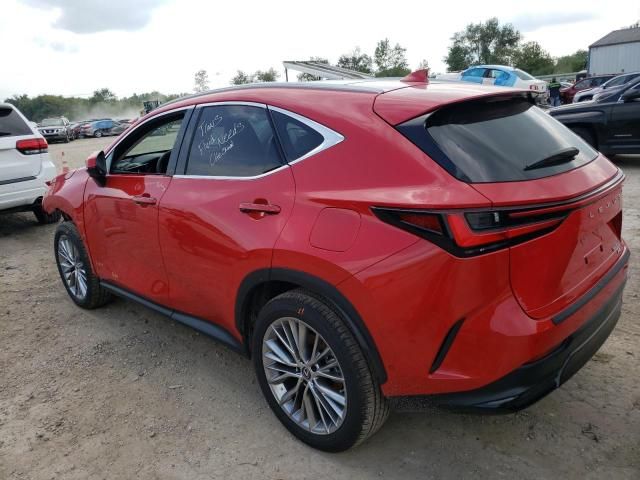 2023 Lexus NX 350H