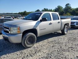 Salvage cars for sale from Copart Memphis, TN: 2008 Chevrolet Silverado C1500