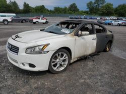 Salvage cars for sale at Madisonville, TN auction: 2012 Nissan Maxima S