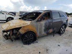 Salvage cars for sale from Copart Arcadia, FL: 2016 KIA Sorento EX