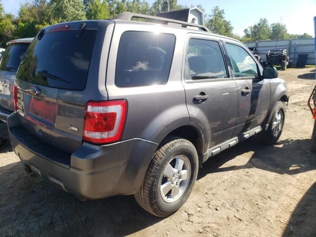 2010 Ford Escape XLT