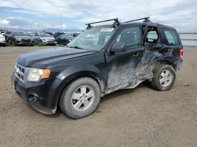 2011 Ford Escape XLS