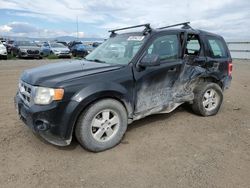 Salvage cars for sale at Helena, MT auction: 2011 Ford Escape XLS