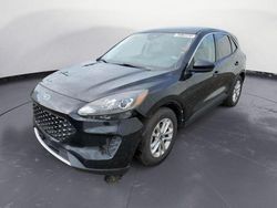 Salvage cars for sale at Hillsborough, NJ auction: 2020 Ford Escape SE