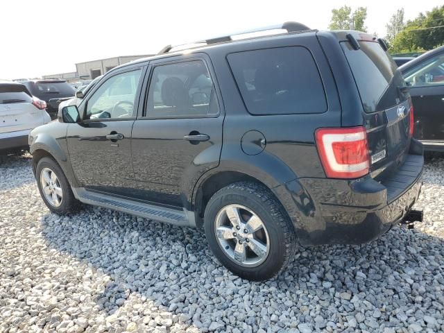 2010 Ford Escape Limited