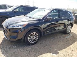 Ford Escape SE salvage cars for sale: 2020 Ford Escape SE