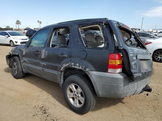 2005 Ford Escape XLT