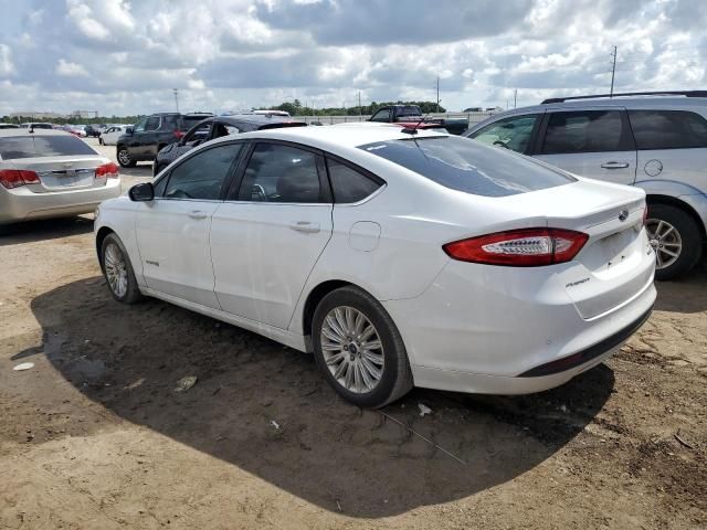 2014 Ford Fusion SE Hybrid