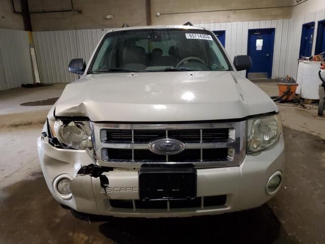 2008 Ford Escape XLT