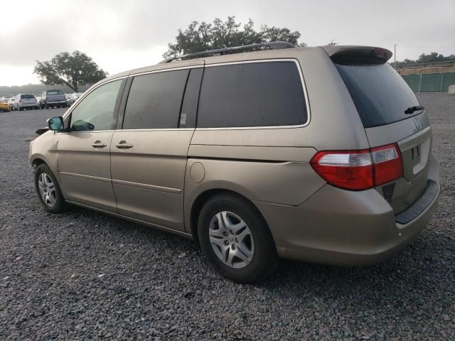 2005 Honda Odyssey EXL