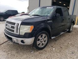Salvage cars for sale from Copart San Antonio, TX: 2009 Ford F150 Supercrew