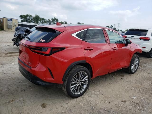 2023 Lexus NX 350H