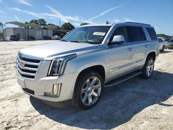 Salvage cars for sale at Loganville, GA auction: 2017 Cadillac Escalade Luxury