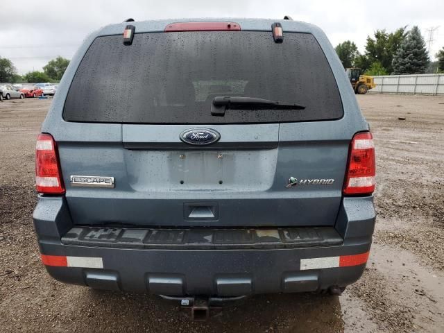 2010 Ford Escape Hybrid