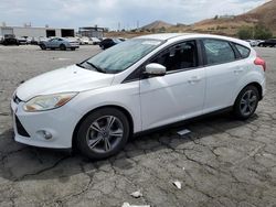 Ford Focus SE salvage cars for sale: 2014 Ford Focus SE